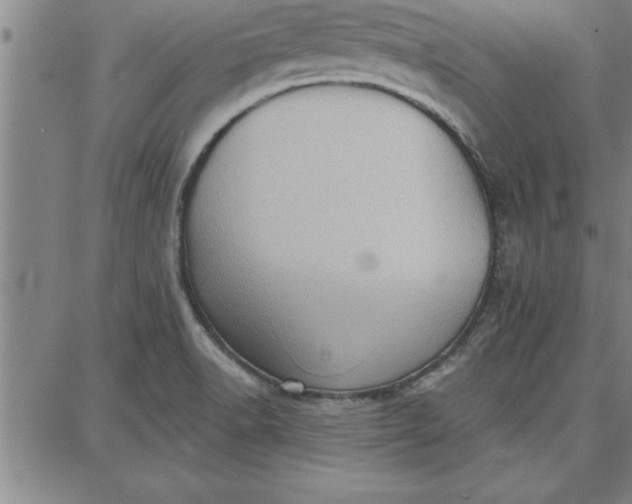 X0000087741518200705210959