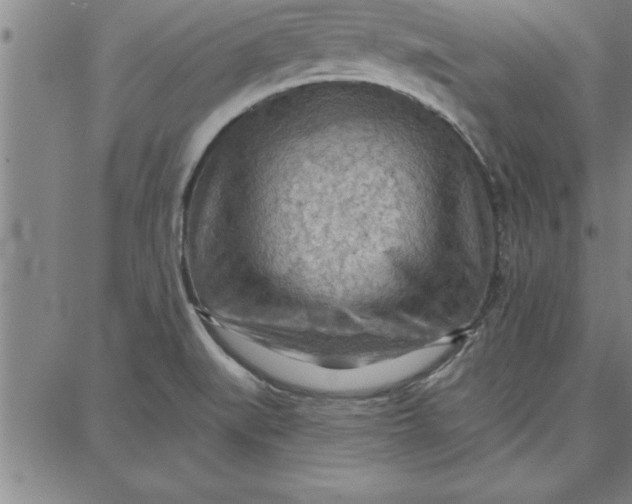 X0000087741519200705210959