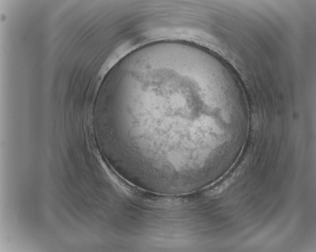 X0000087741521200705210959