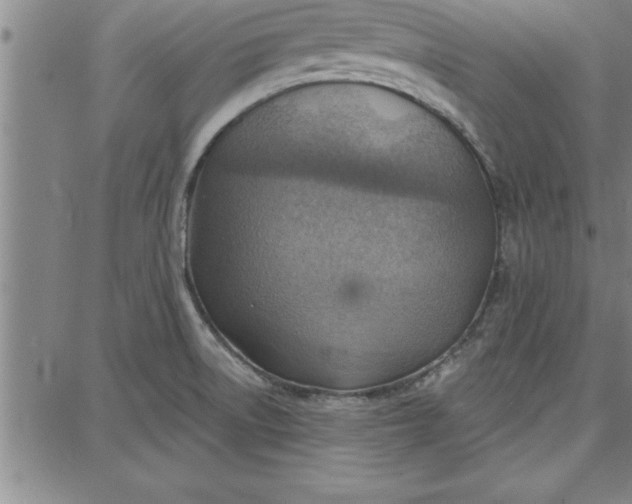 X0000087741522200705210959