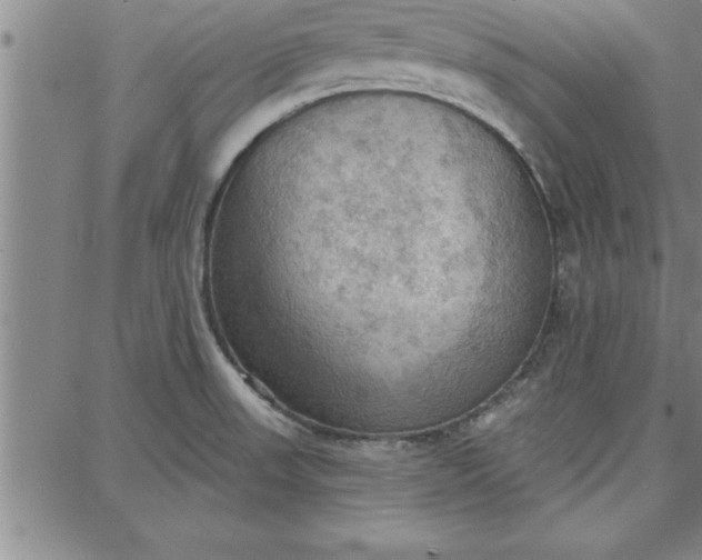 X0000087741523200705210959