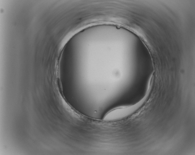 X0000087741524200705210959