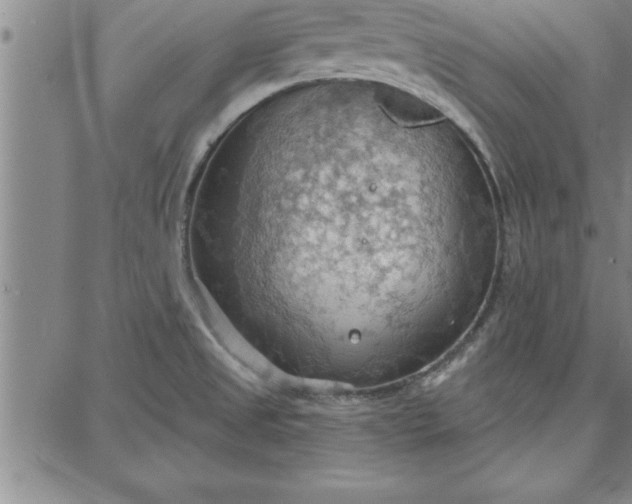 X0000087741525200705210959