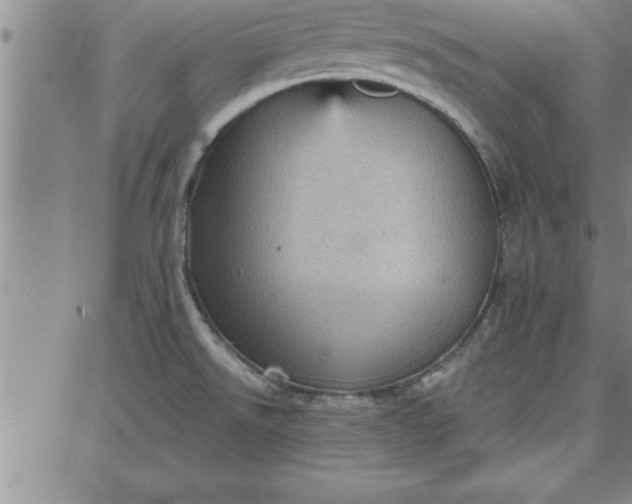 X0000087741526200705210959