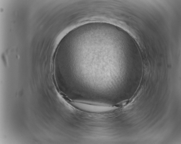 X0000087741527200705210959