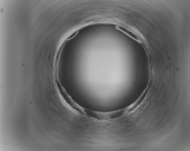 X0000087741528200705211000