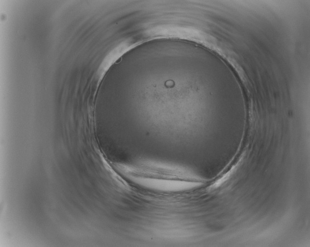 X0000087741529200705211000