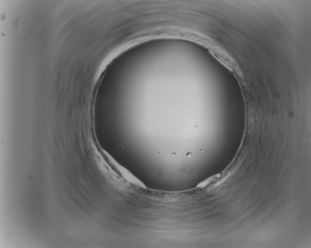 X0000087741530200705211000