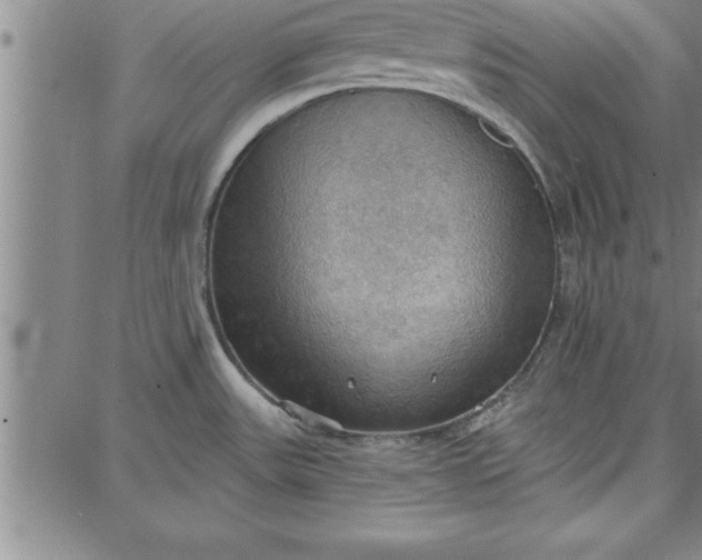 X0000087741531200705211000