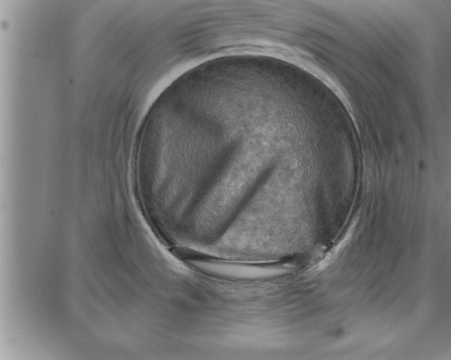 X0000087741533200705211000