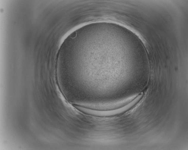 X0000087741534200705211000