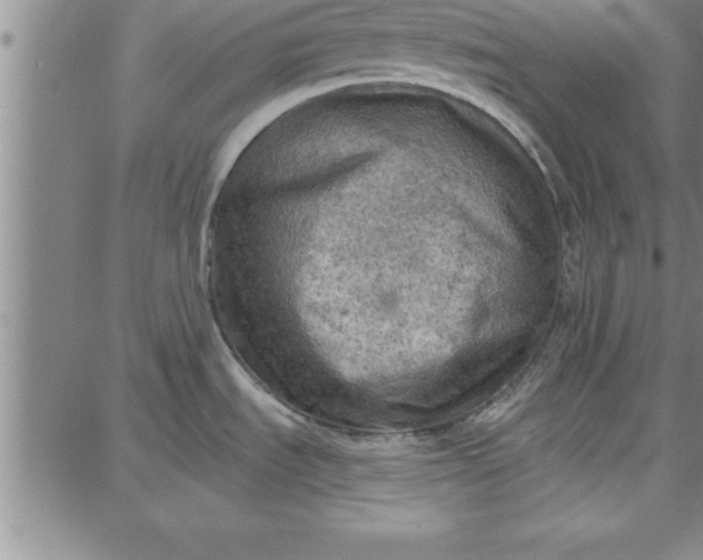 X0000087741535200705211000