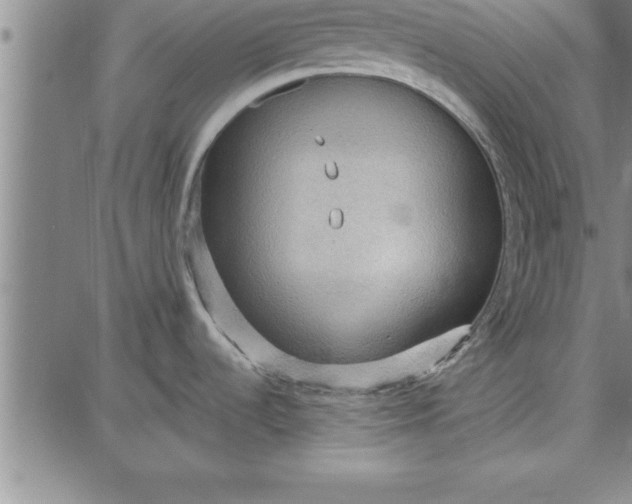 X0000087741536200705211000