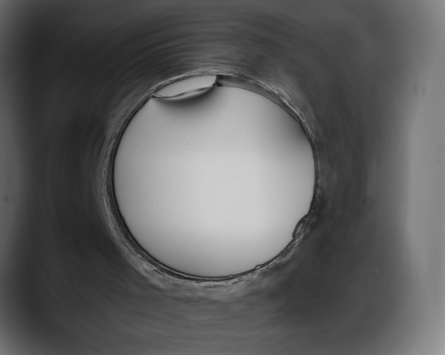 X0000087740001200705291022