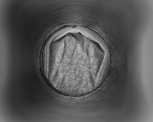 X0000087740002200705291022