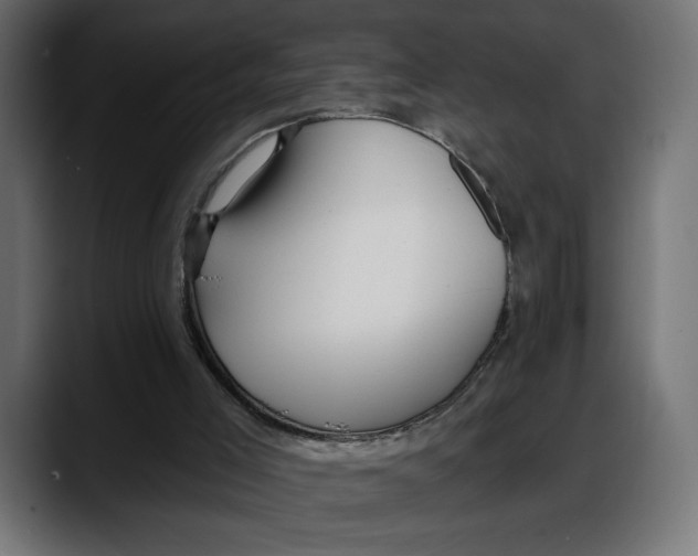 X0000087740005200705291022