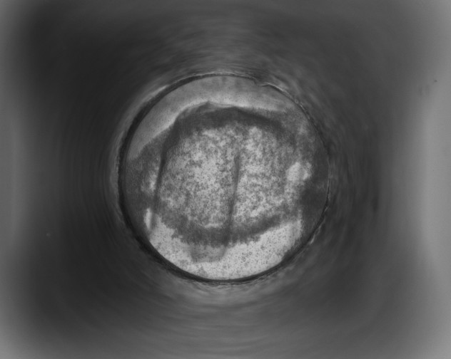 X0000087740006200705291022