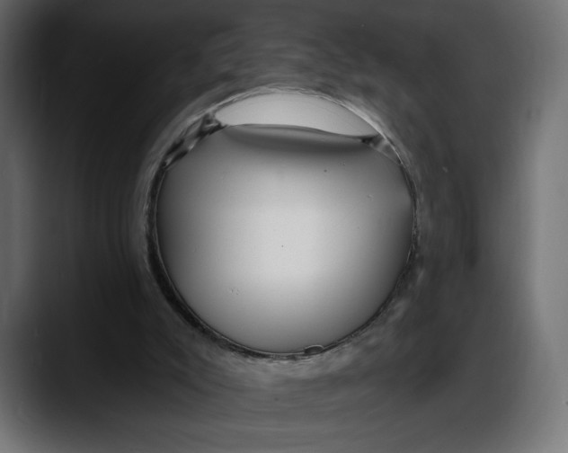 X0000087740007200705291022