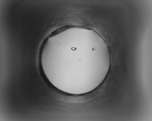 X0000087740008200705291022