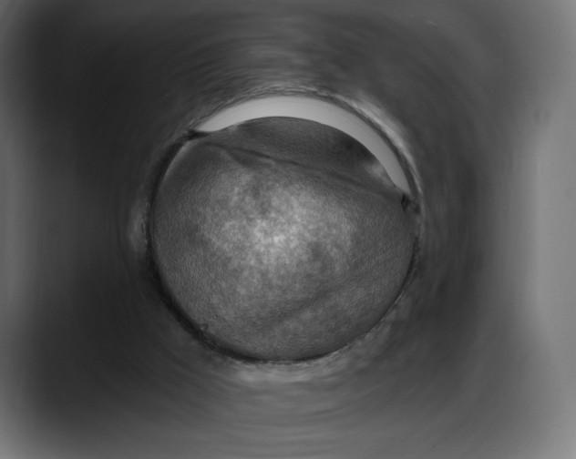 X0000087740009200705291022