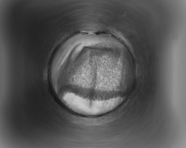 X0000087740010200705291022