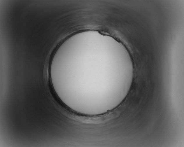 X0000087740011200705291022