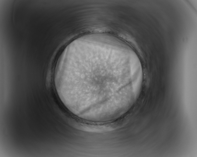 X0000087740012200705291022