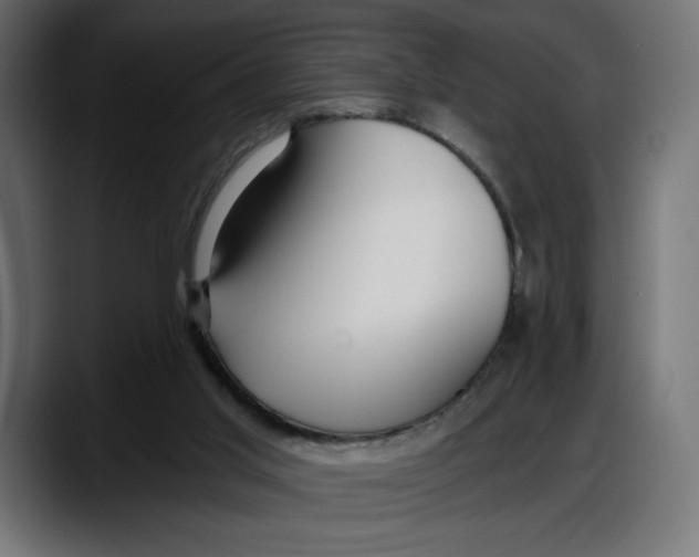 X0000087740013200705291022