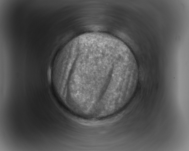 X0000087740014200705291022