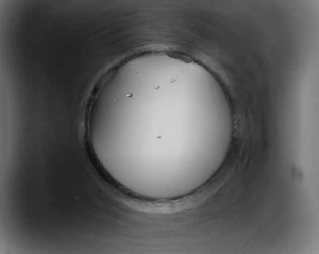 X0000087740015200705291022