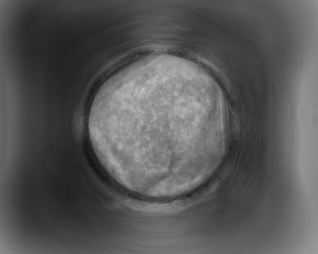 X0000087740016200705291022