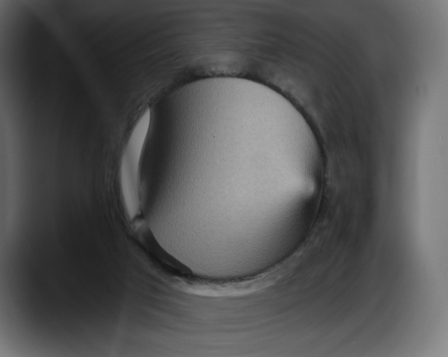 X0000087740017200705291022