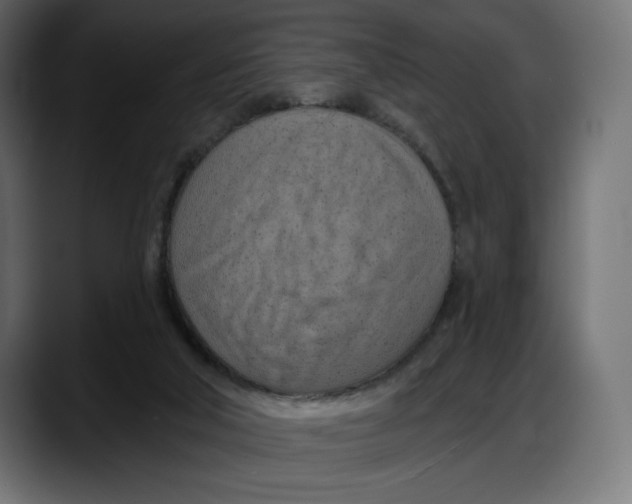 X0000087740018200705291022