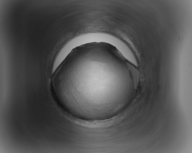 X0000087740019200705291022