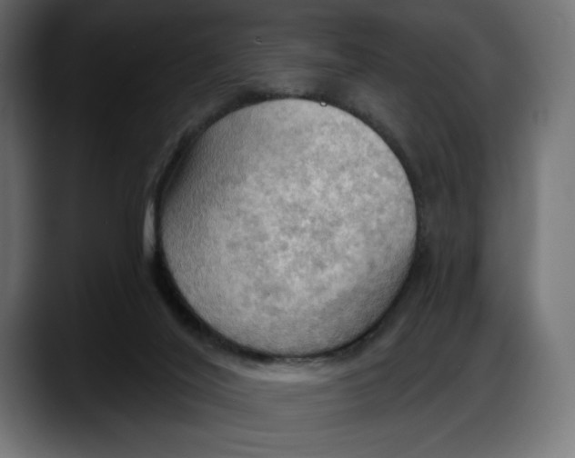 X0000087740020200705291022