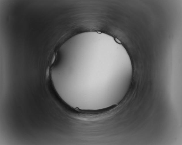 X0000087740021200705291022