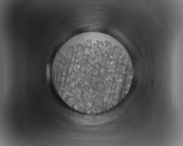 X0000087740022200705291022