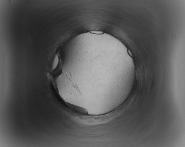 X0000087740023200705291022