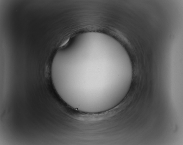 X0000087740025200705291022