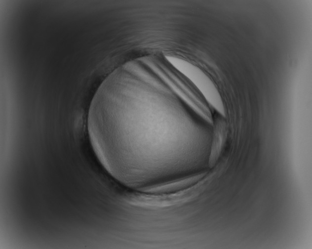 X0000087740029200705291022