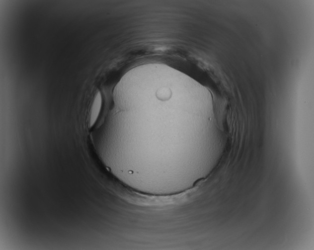 X0000087740031200705291022