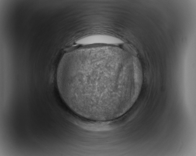 X0000087740032200705291022