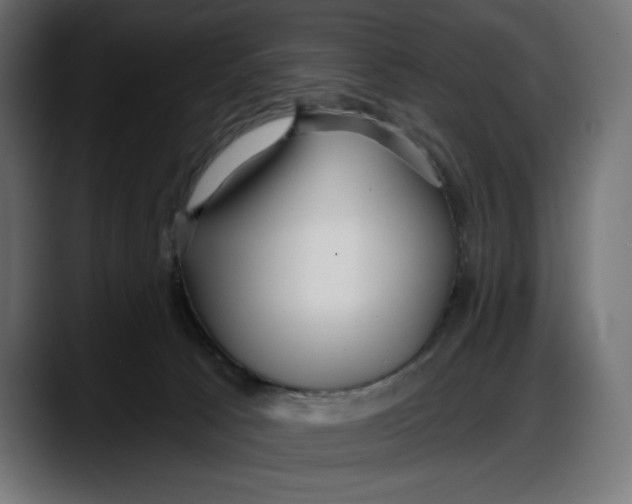 X0000087740033200705291022