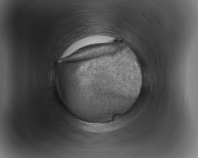 X0000087740034200705291022