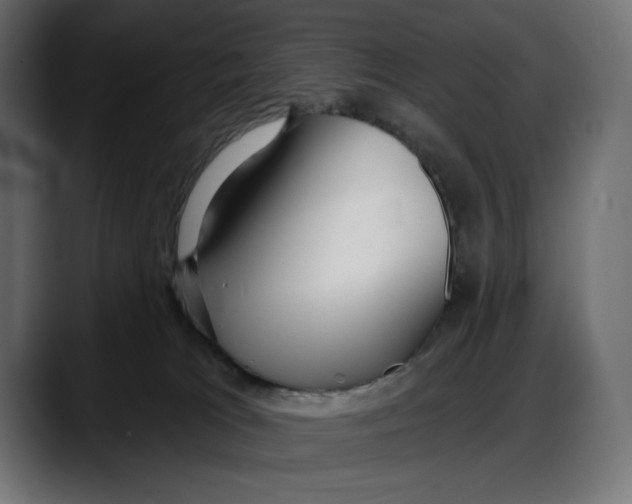 X0000087740037200705291022