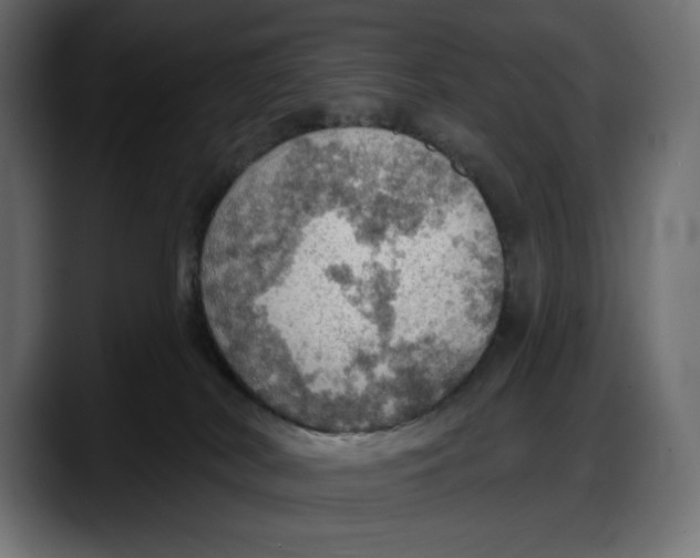 X0000087740038200705291022