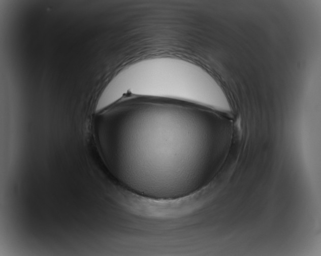 X0000087740039200705291022