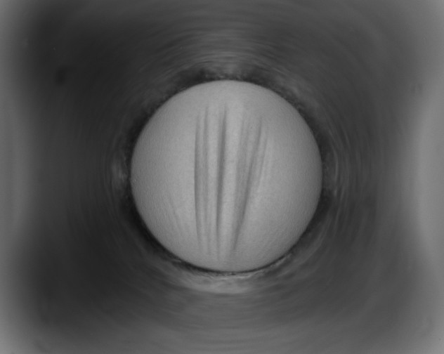 X0000087740040200705291022