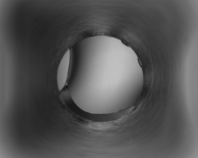 X0000087740041200705291022