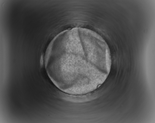 X0000087740042200705291022